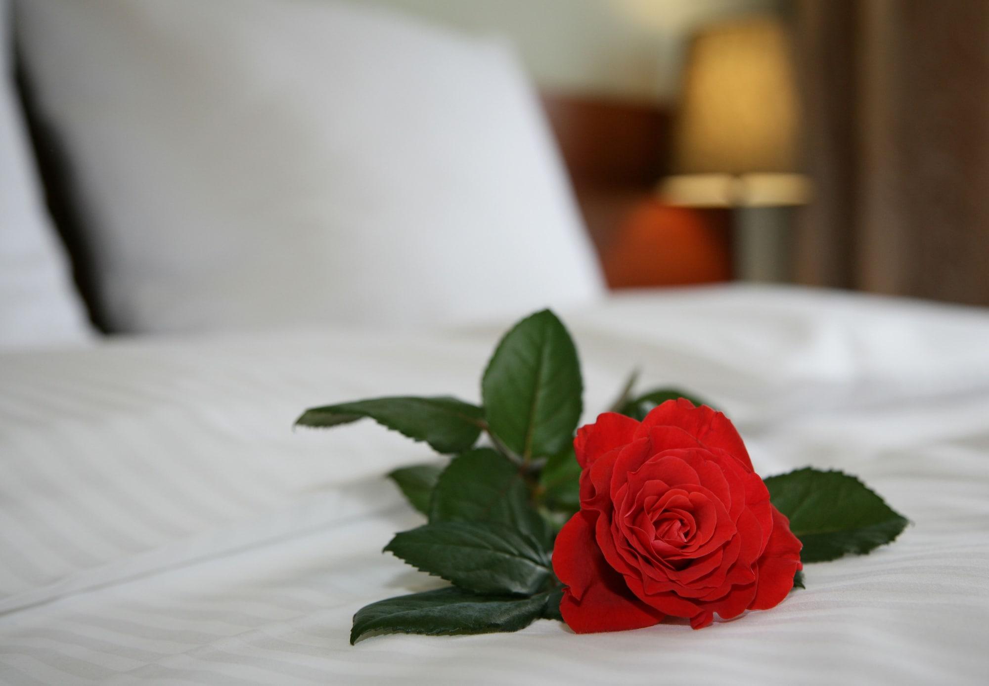 Aparthotel Globus クラクフ エクステリア 写真
